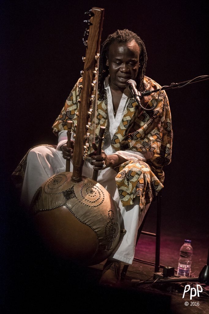 Zal Sissokho, kora, Nuits d'Afrique