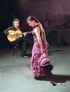 Noche Flamenca, Photo: Zarmik Moqtaderi