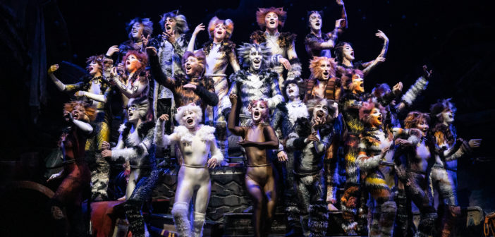 The company of the 2021-2022 national tour of CATS (Photo By Matthew Murphy, Murphymade)