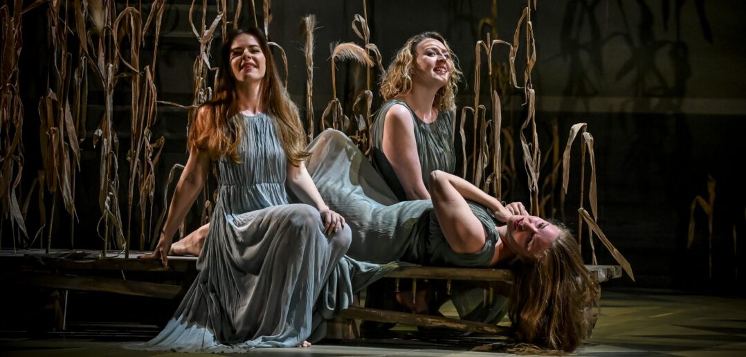 Scene from Antonín Dvořák's Rusalka at the Janáček Theatre. Three women sit on a bench in a cornfield on stage.