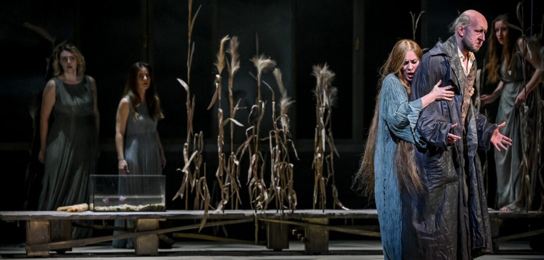 Scene from Antonín Dvořák's Rusalka at the Janáček Theatre. A woman hugs a man to the right side of the stage. Three women watch in the background.