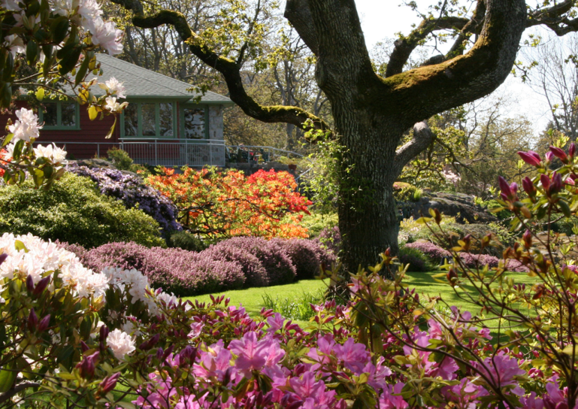 Weekly Roundup: Abkhazi Garden